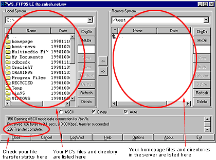 Using WS FTP 95 for Sabah.Net Webhosting